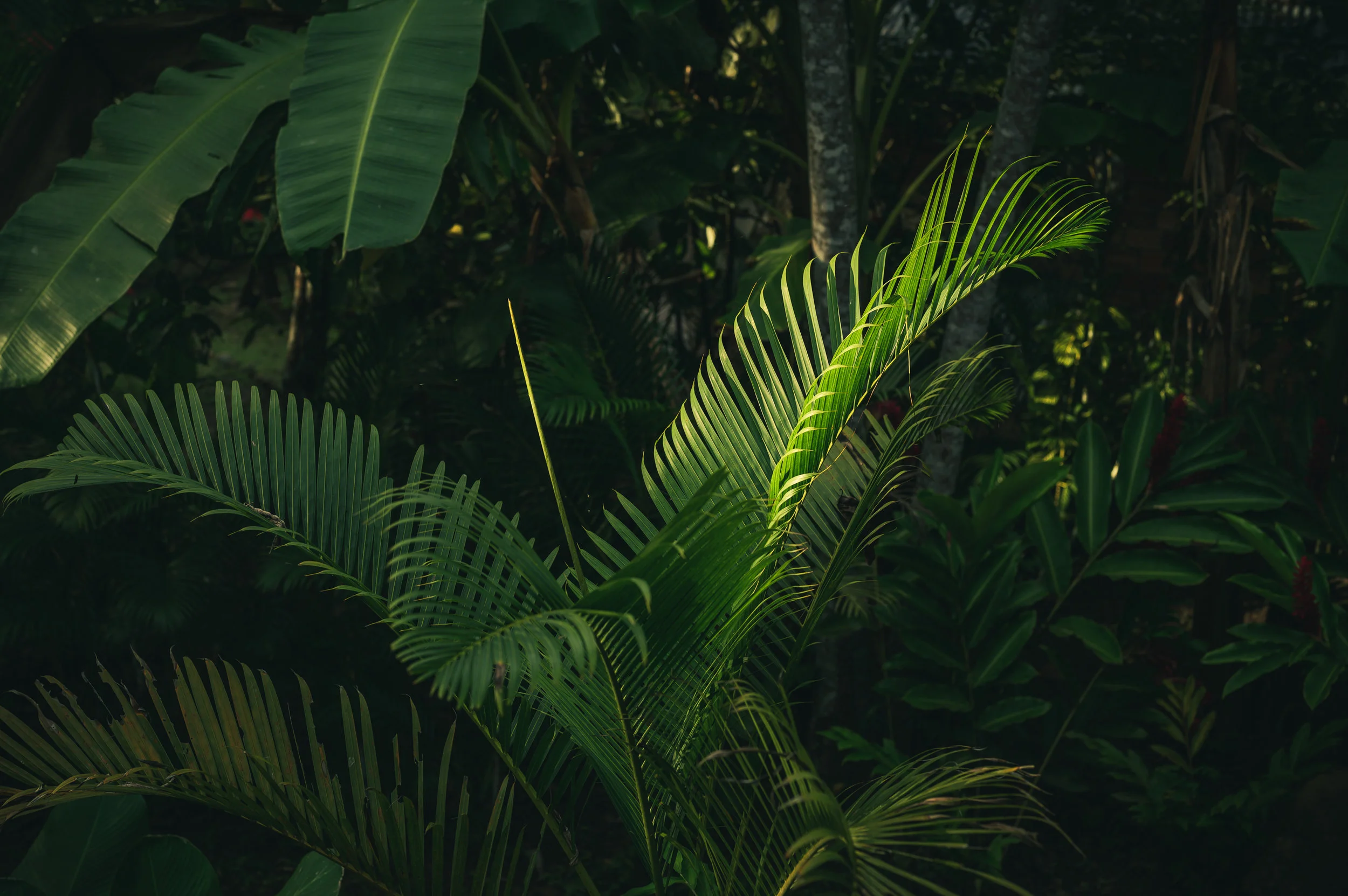 3 min -- What a brief breathing meditation can do for you!