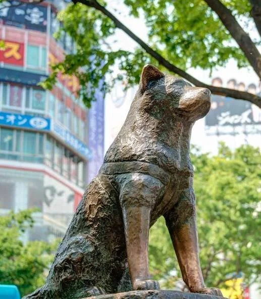 shibuya.jpg