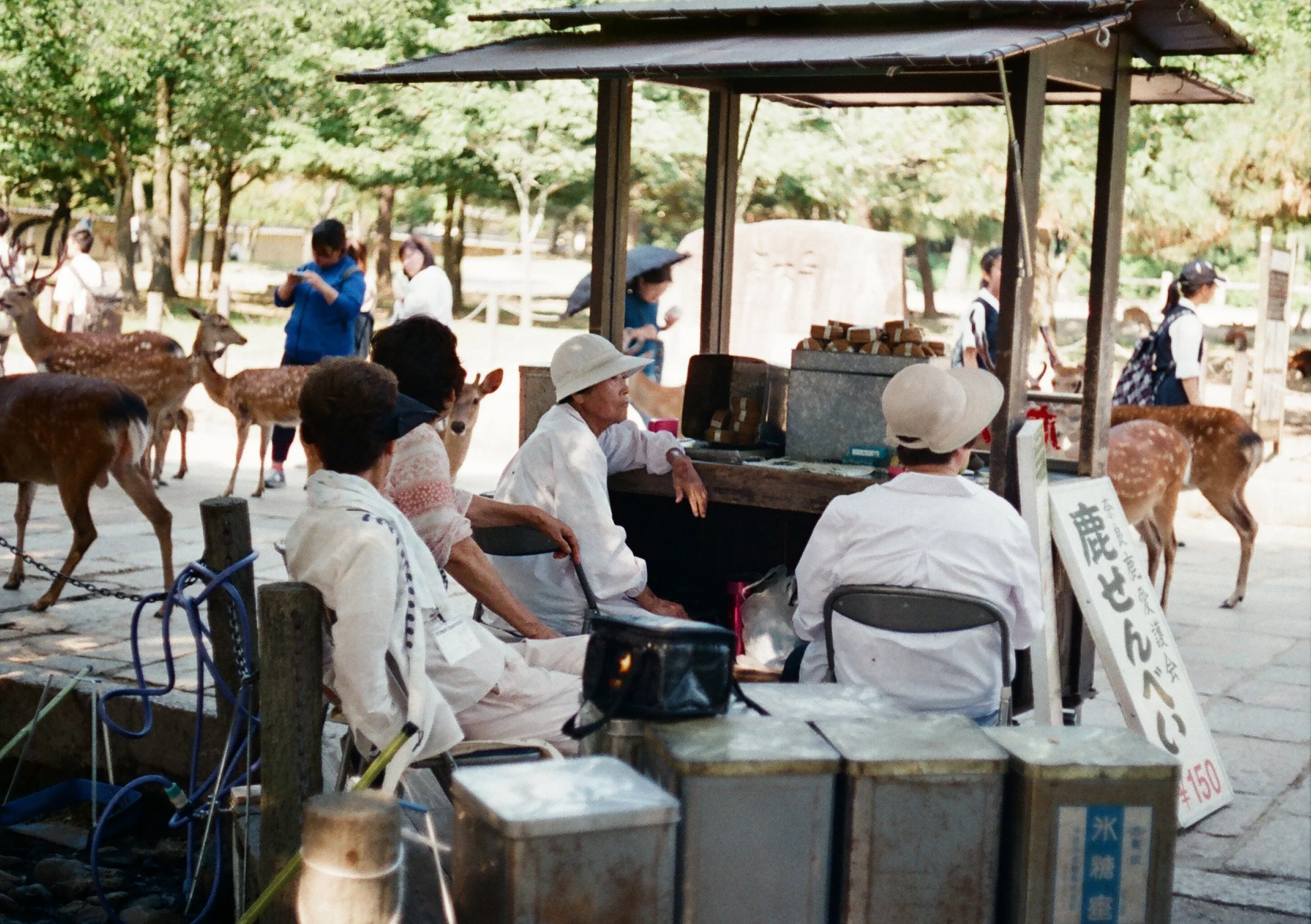 62160028 copy.JPG