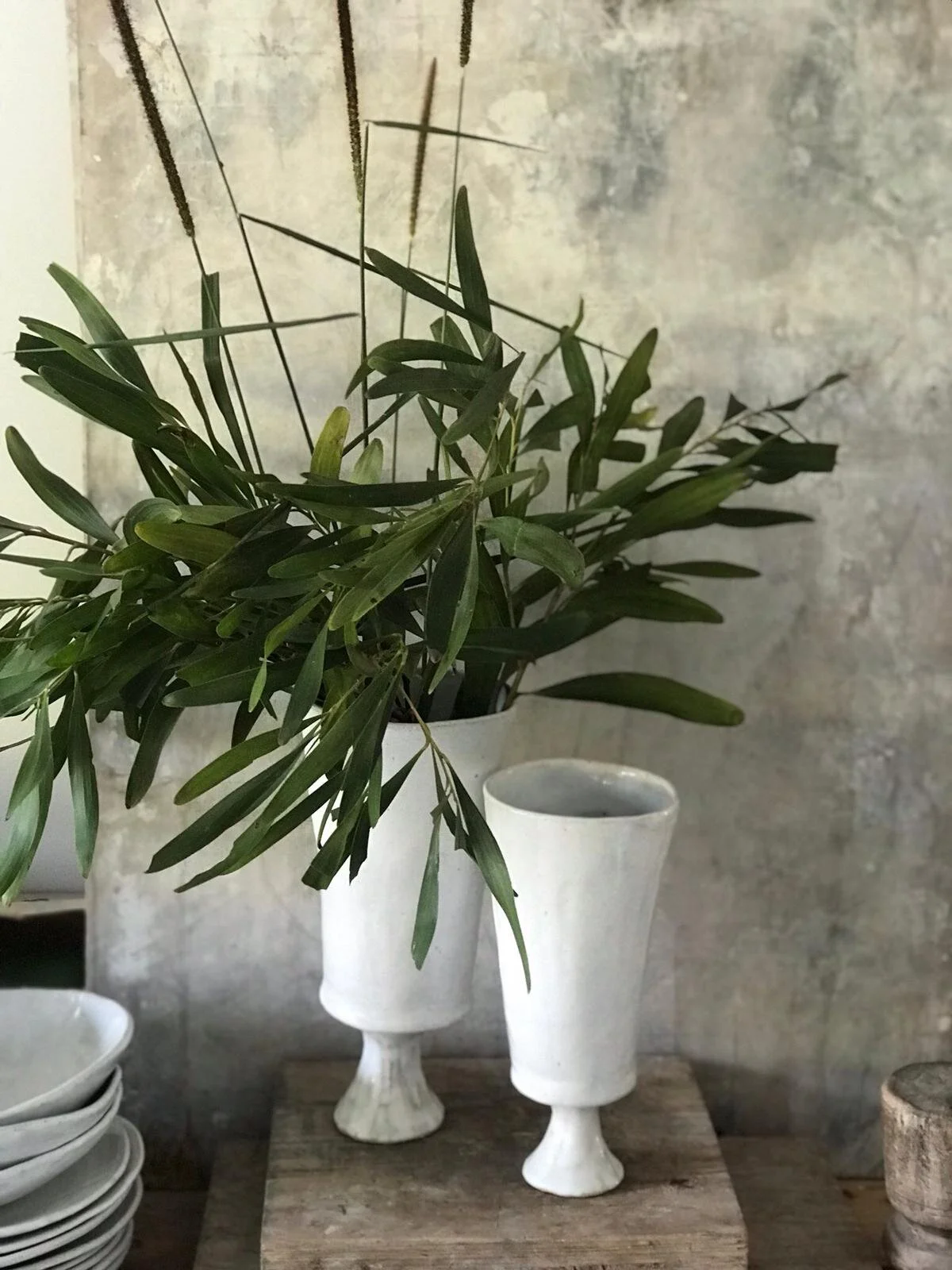 WhatsApp Image 2020-06-24 at 6.48.17 PM.jpeg