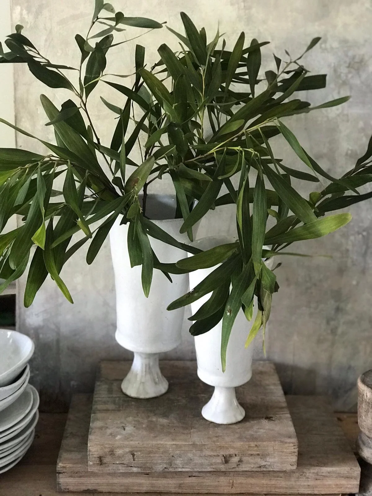 WhatsApp Image 2020-06-24 at 6.48.16 PM.jpeg