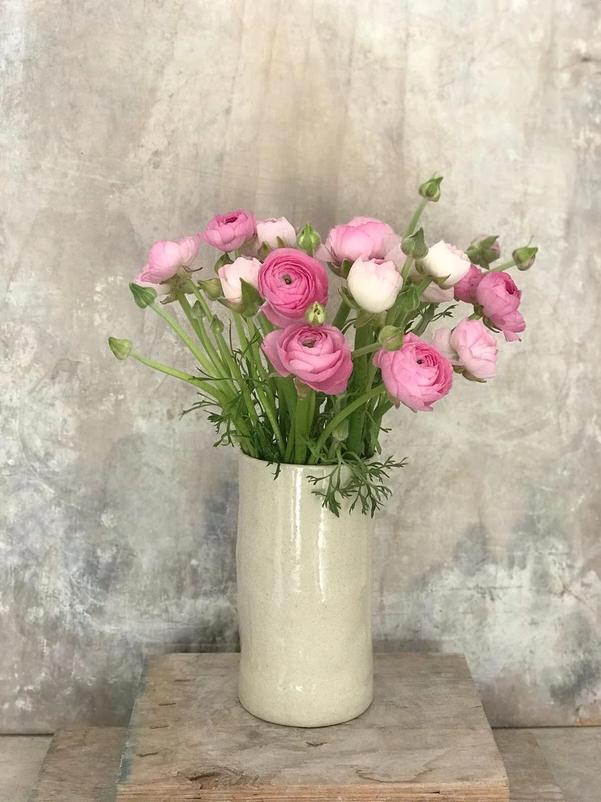 WhatsApp Image 2020-09-10 at 11.45.59 AM.jpeg