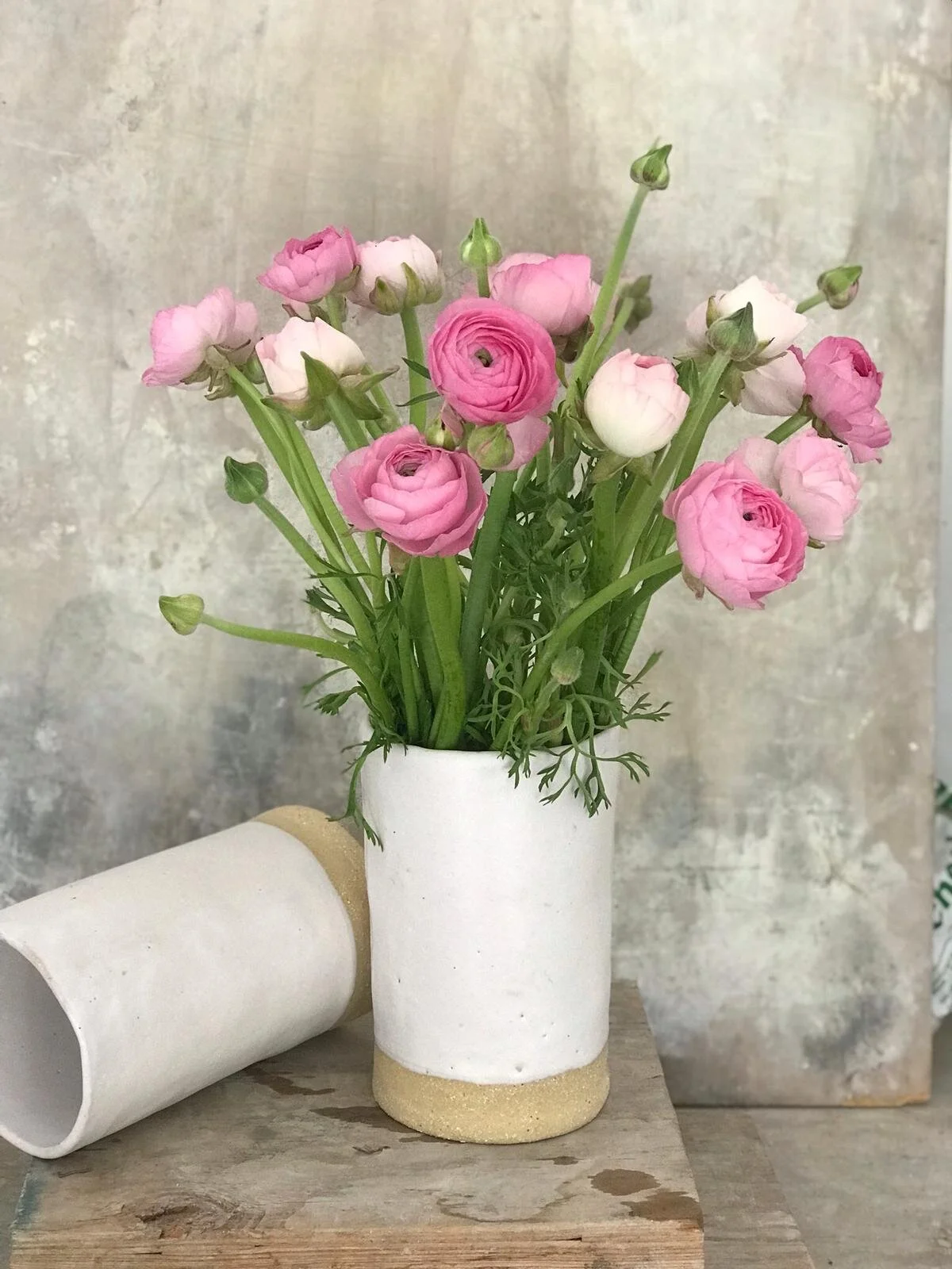 WhatsApp Image 2020-09-10 at 11.46.01 AM (1).jpeg