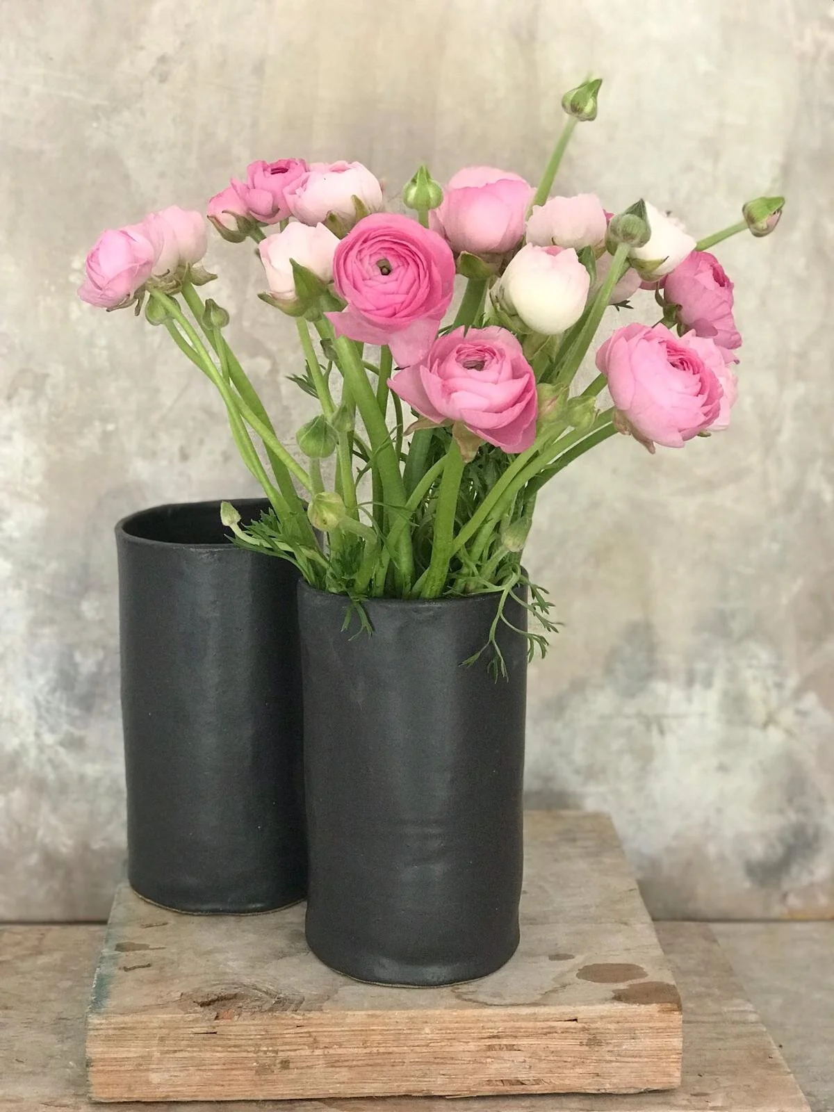 WhatsApp Image 2020-09-10 at 11.46.02 AM (1).jpeg