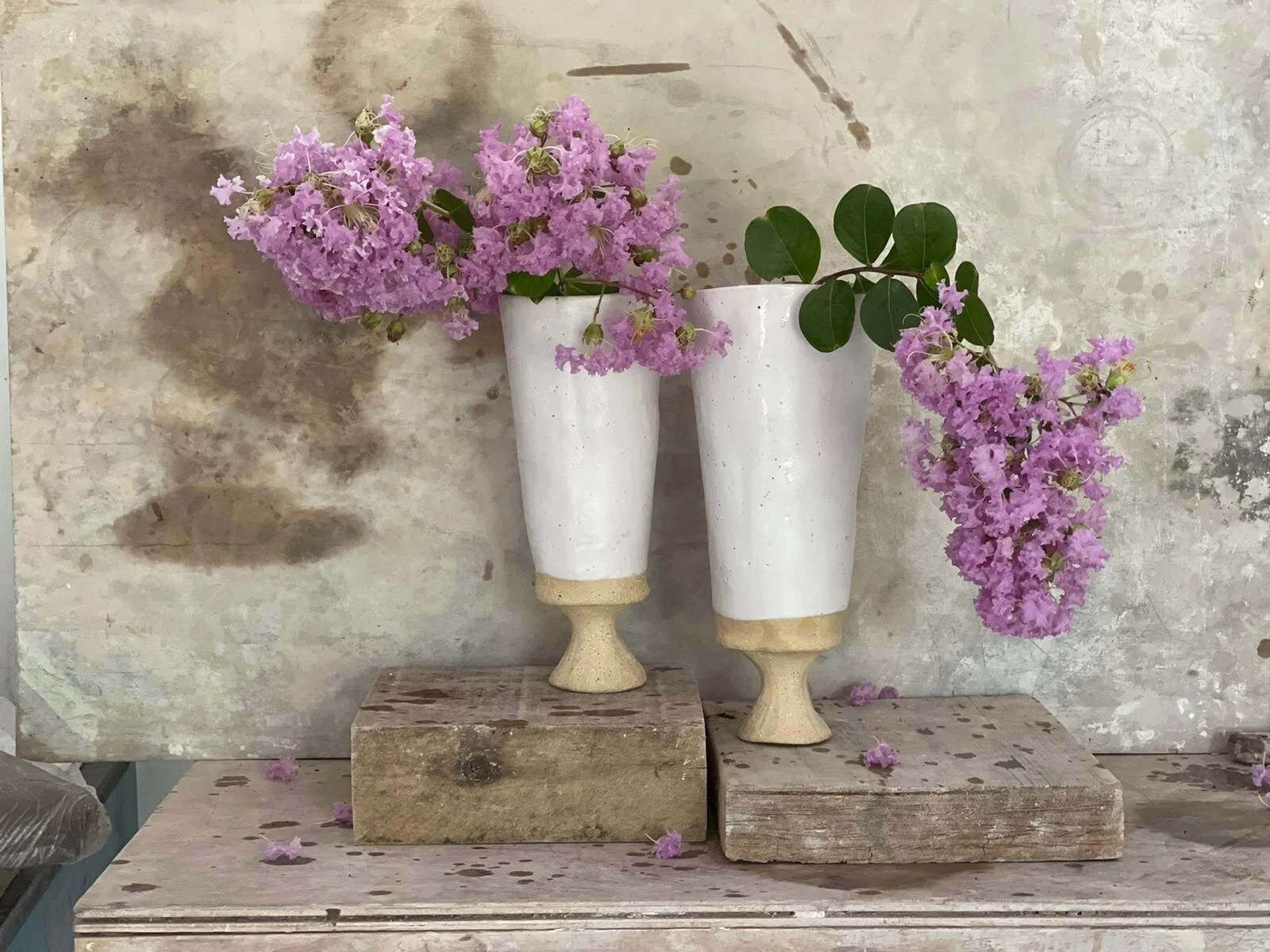 WhatsApp Image 2021-02-03 at 7.45.11 AM.jpeg