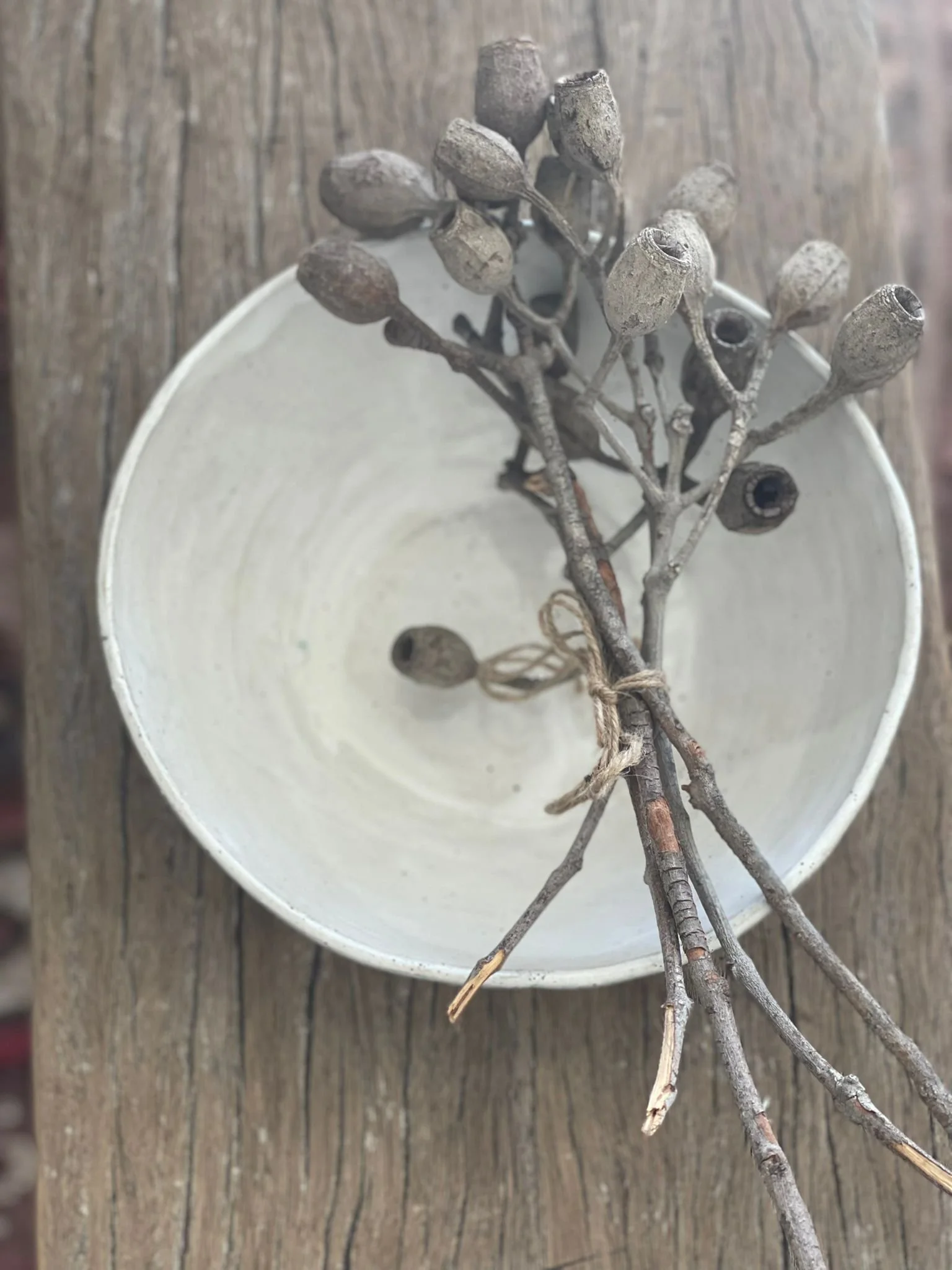 WhatsApp Image 2022-11-14 at 5.11.08 PM (1).jpeg