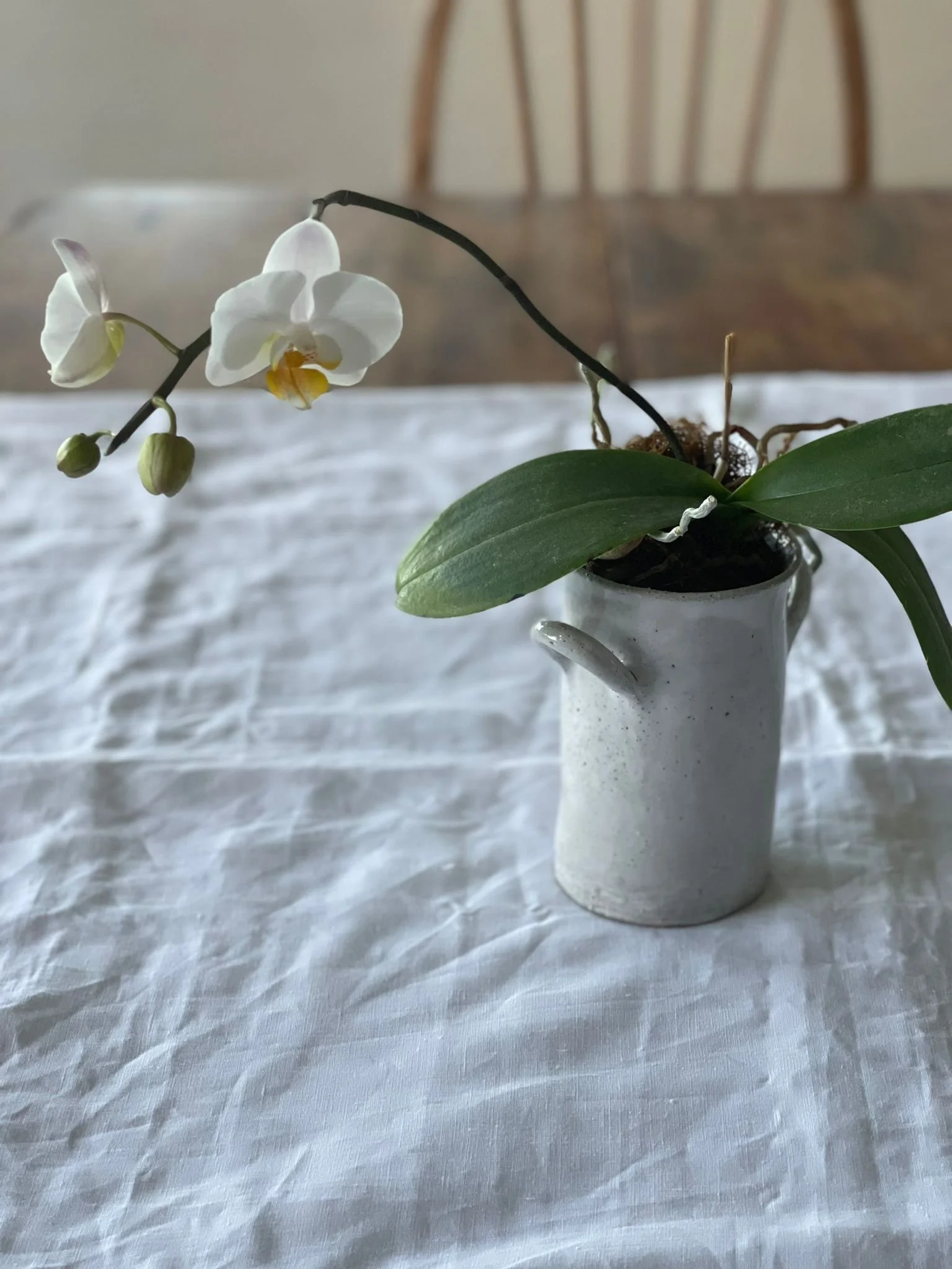 PHARMACY WHITE PARIS VASE SMALL