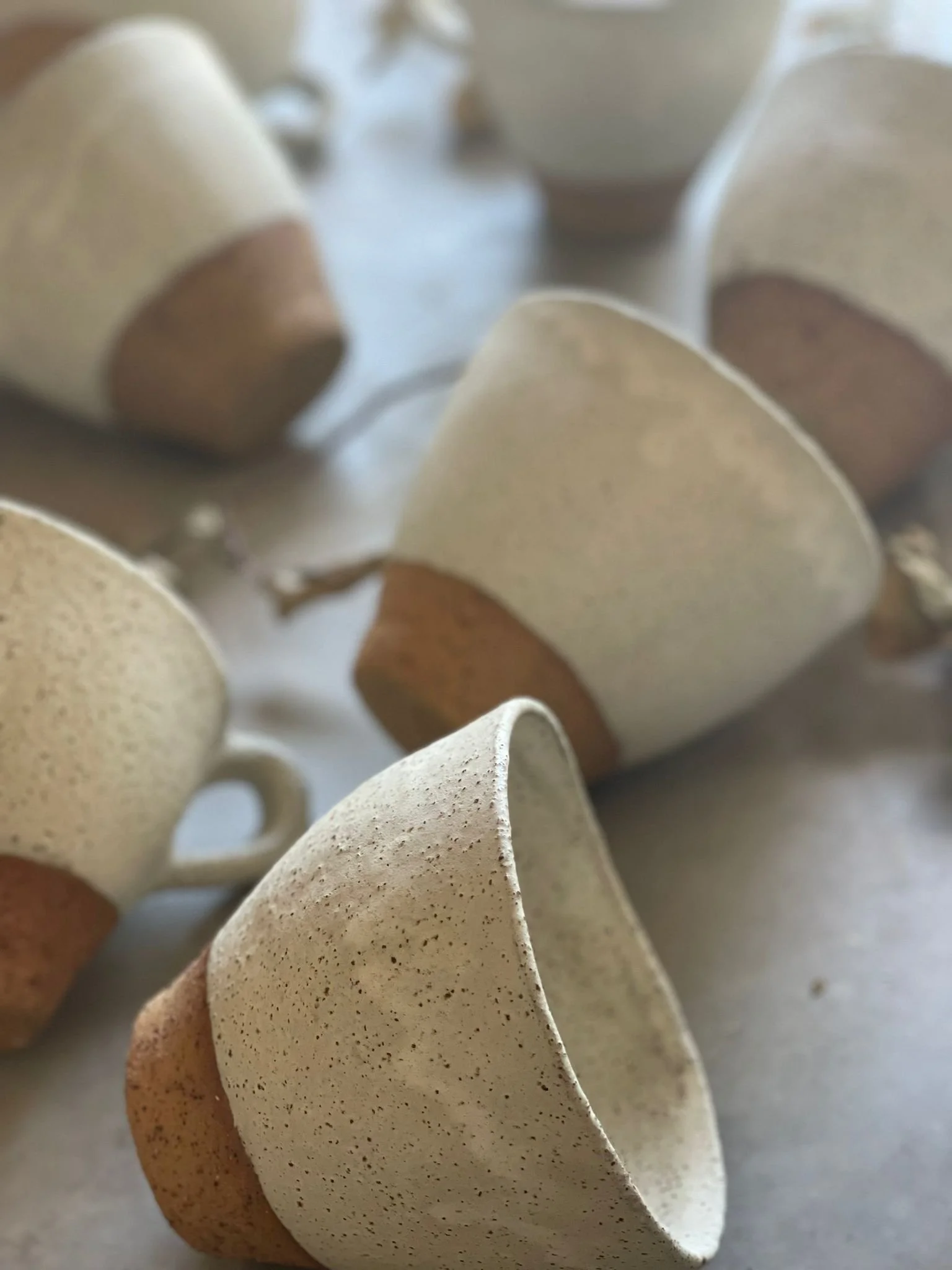 WhatsApp Image 2023-12-08 at 1.17.23 PM.jpeg