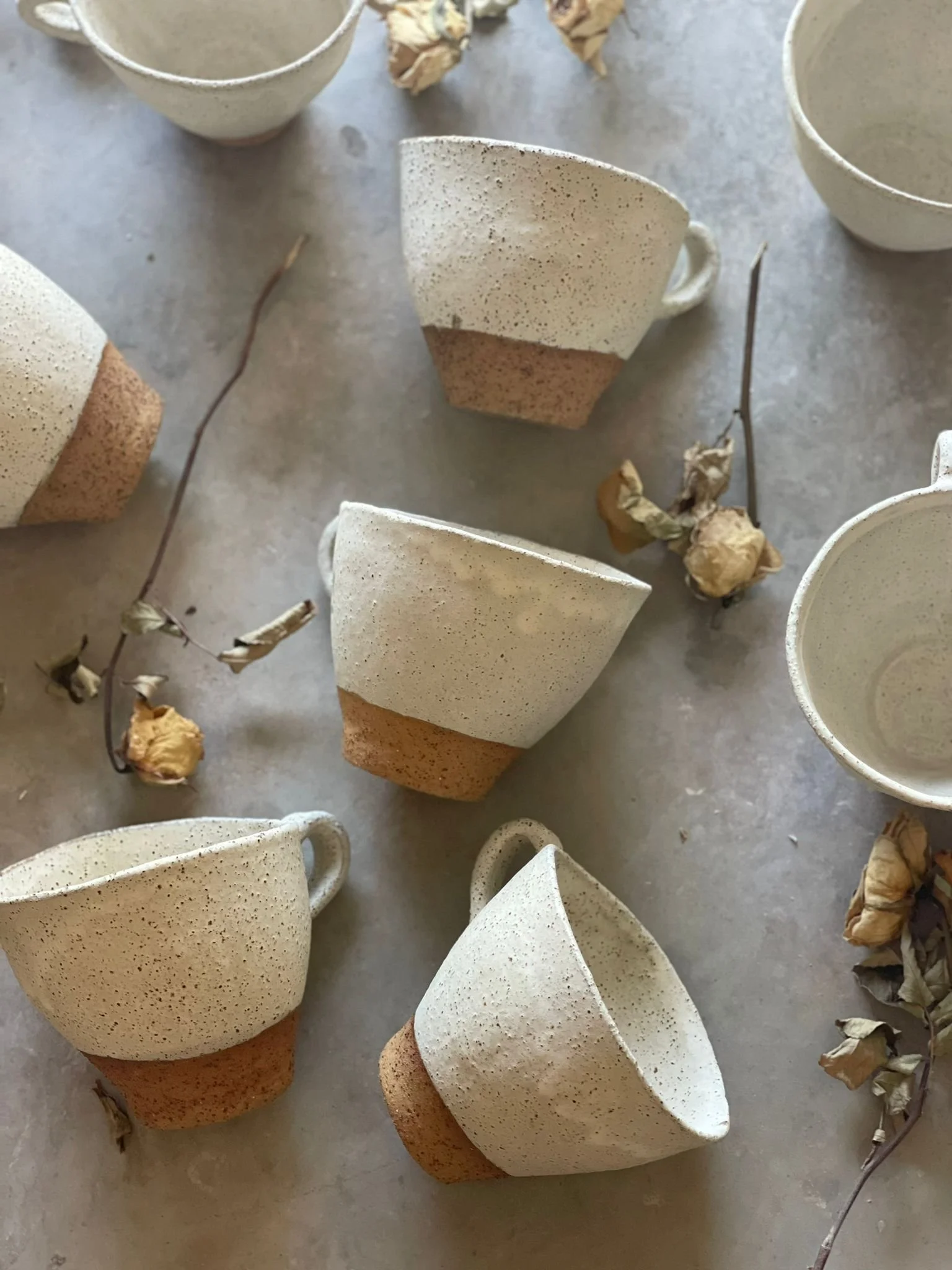 WhatsApp Image 2023-12-08 at 1.17.23 PM (1).jpeg