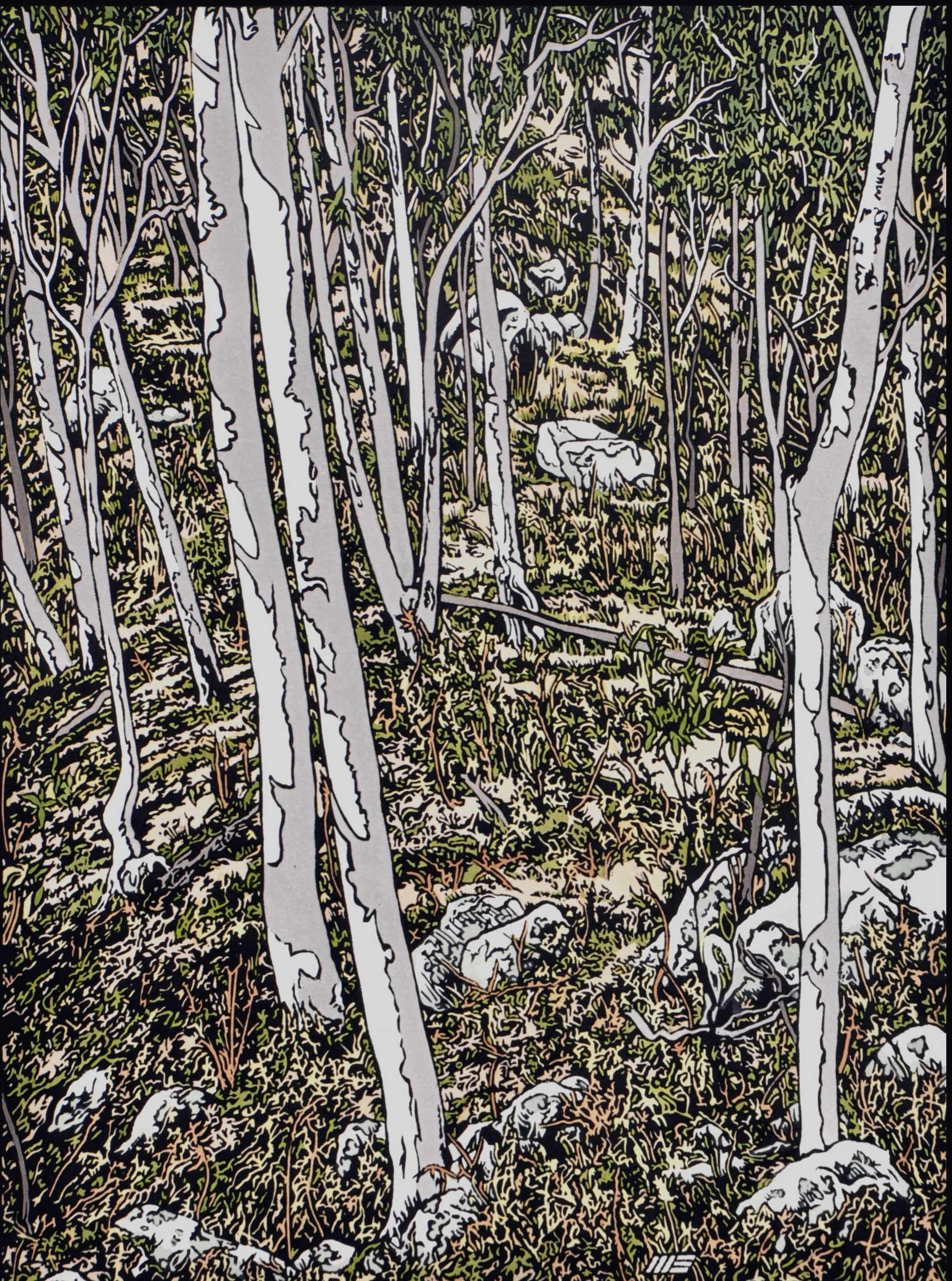 Sitting quietly in the Warrumbungles