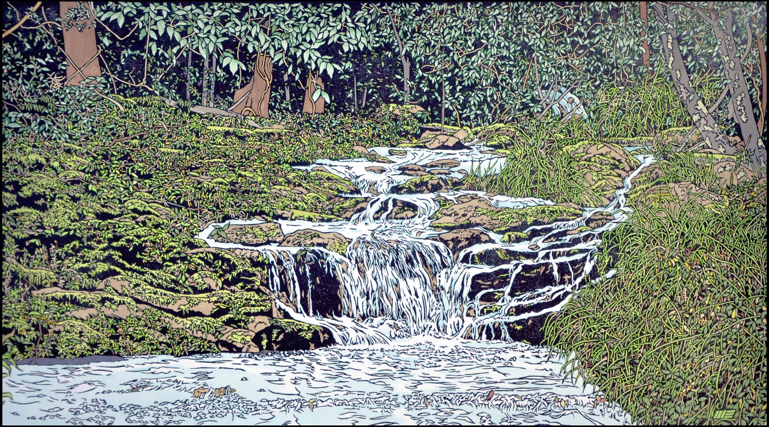 Wayne Singleton_River in the border ranges.jpg