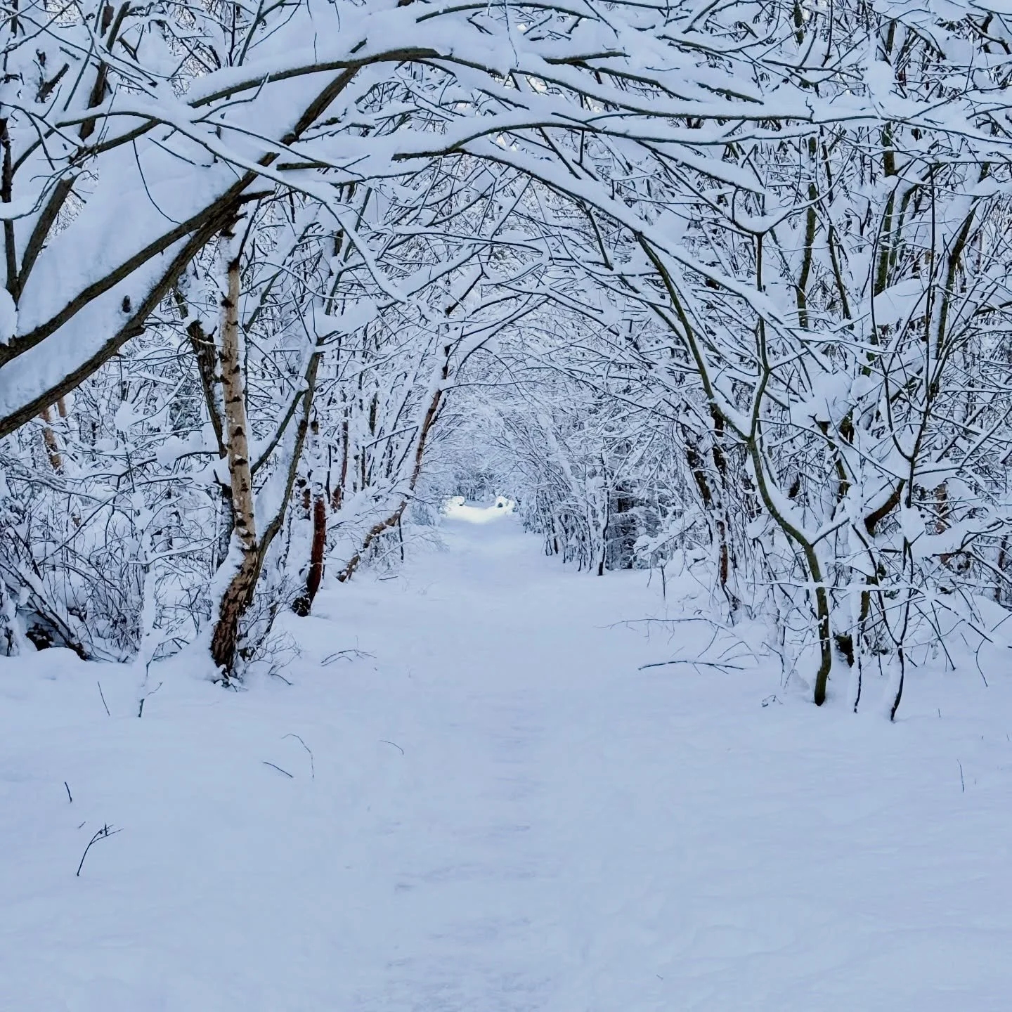 Day 5 ☃️☃️☃️☃️☃️

It&rsquo;s been snowing since New Years Day and although it&rsquo;s really pretty&hellip;make it stop! 🤪 

#snowdays❄️ #hardtogetaroundinthesnow #moresnowontheway❄️❄️❄️⛄️⛄️⛄️⛄️ #skimmingstones_