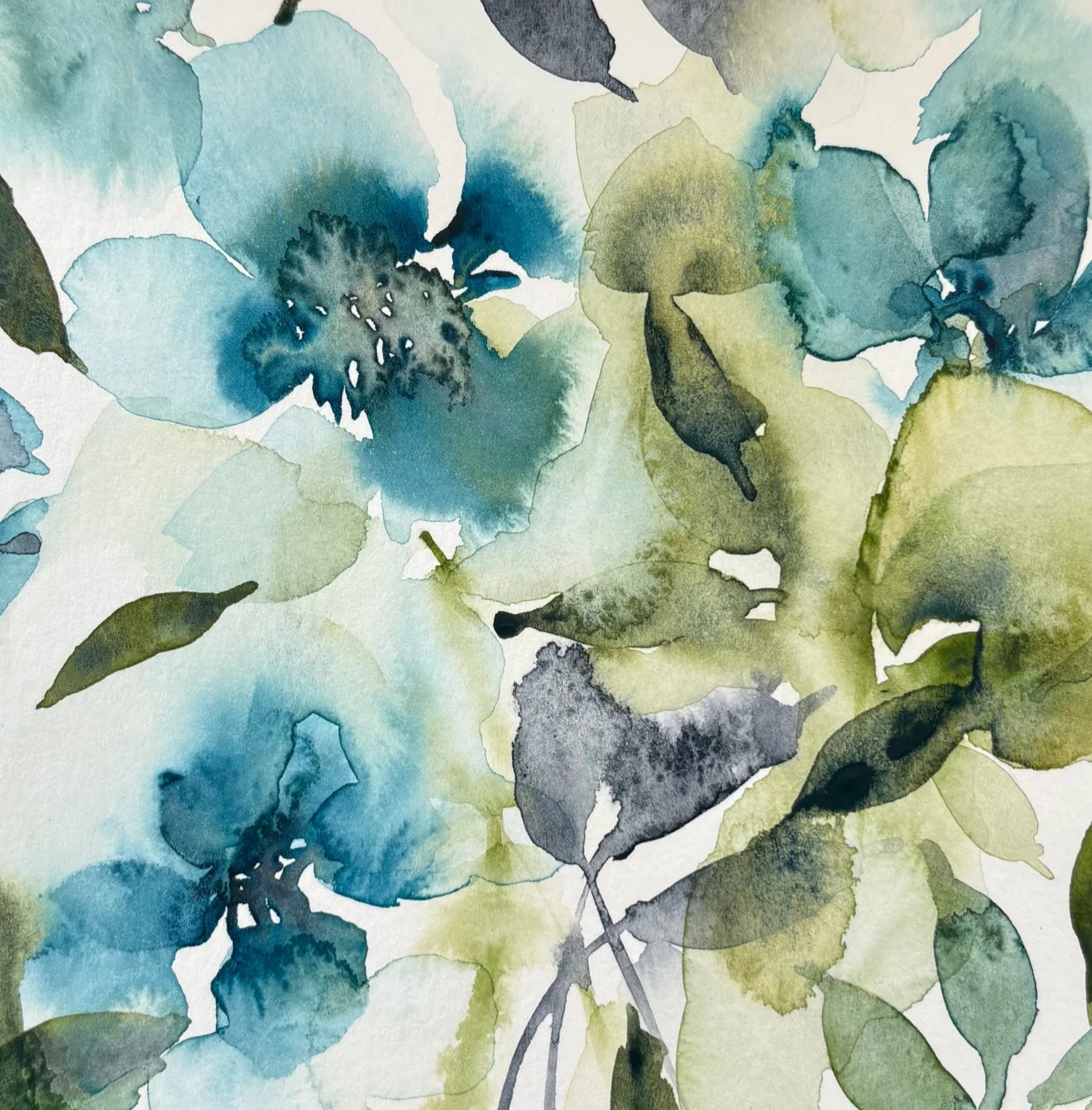 No.1-Himalayan Blue-LAURA-TULLOCH-JPEG.jpg