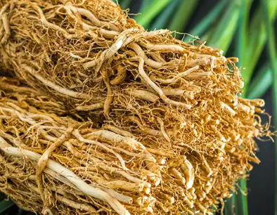 vetiver