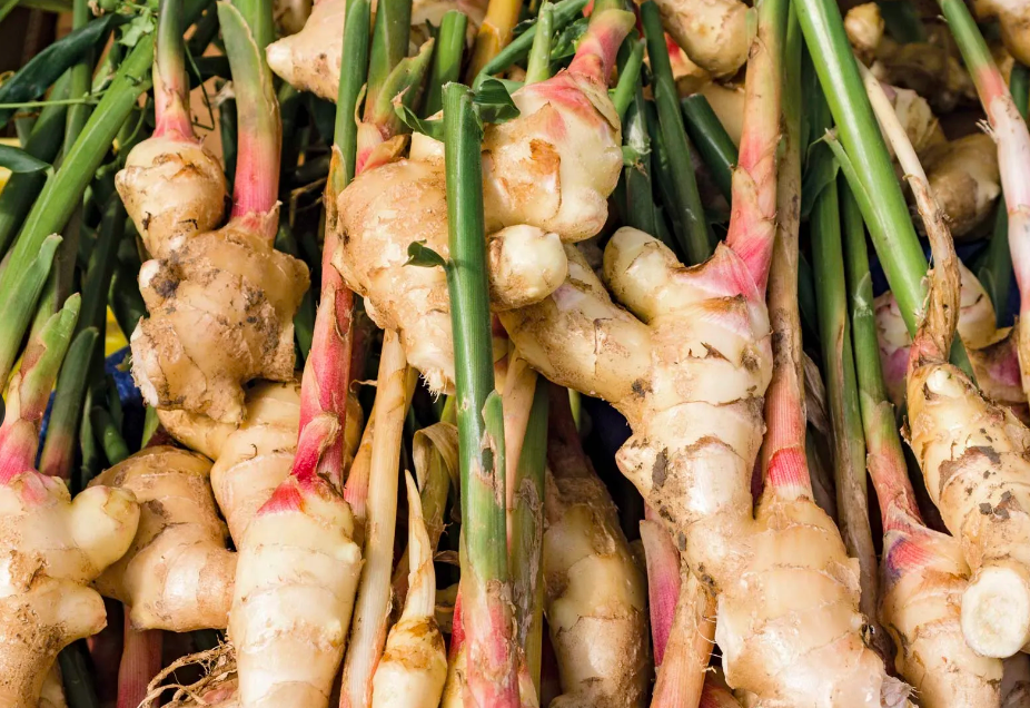 ginger