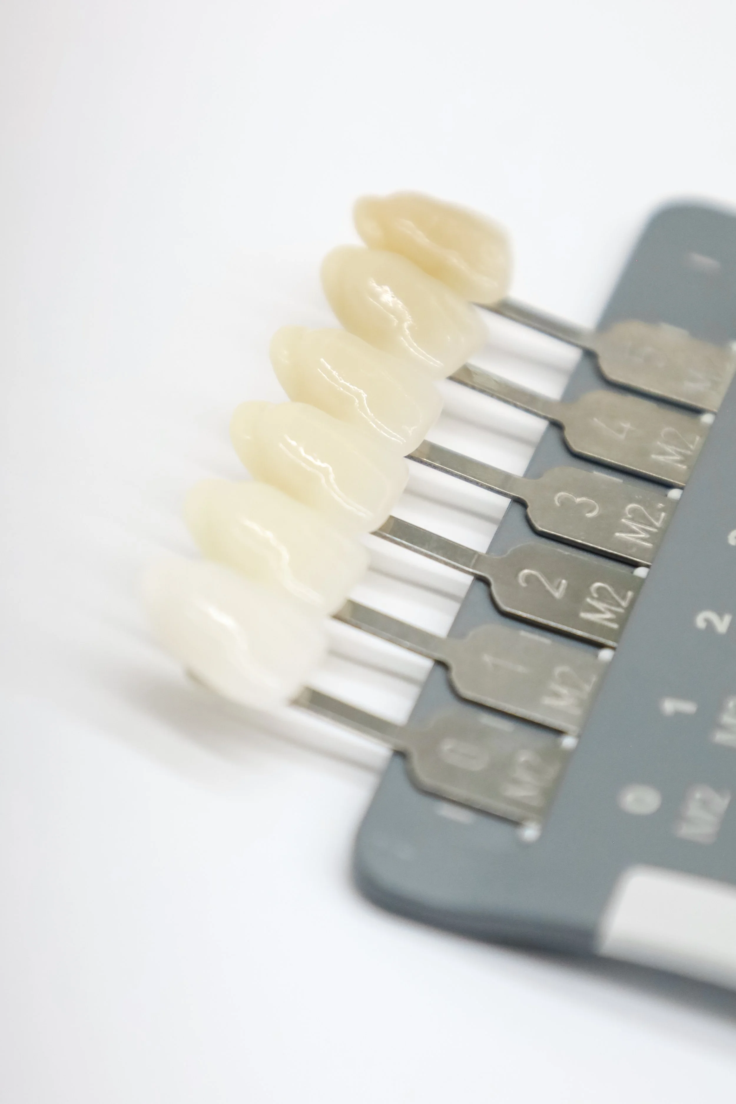 Tooth shade samples for dental prostheses