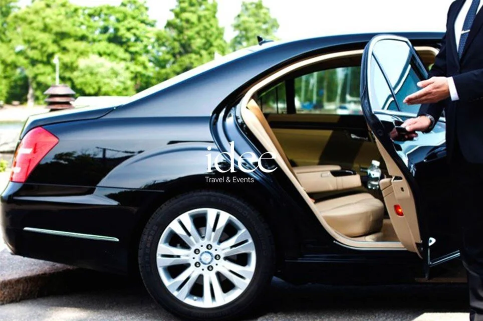 Transport in Style (1).JPG