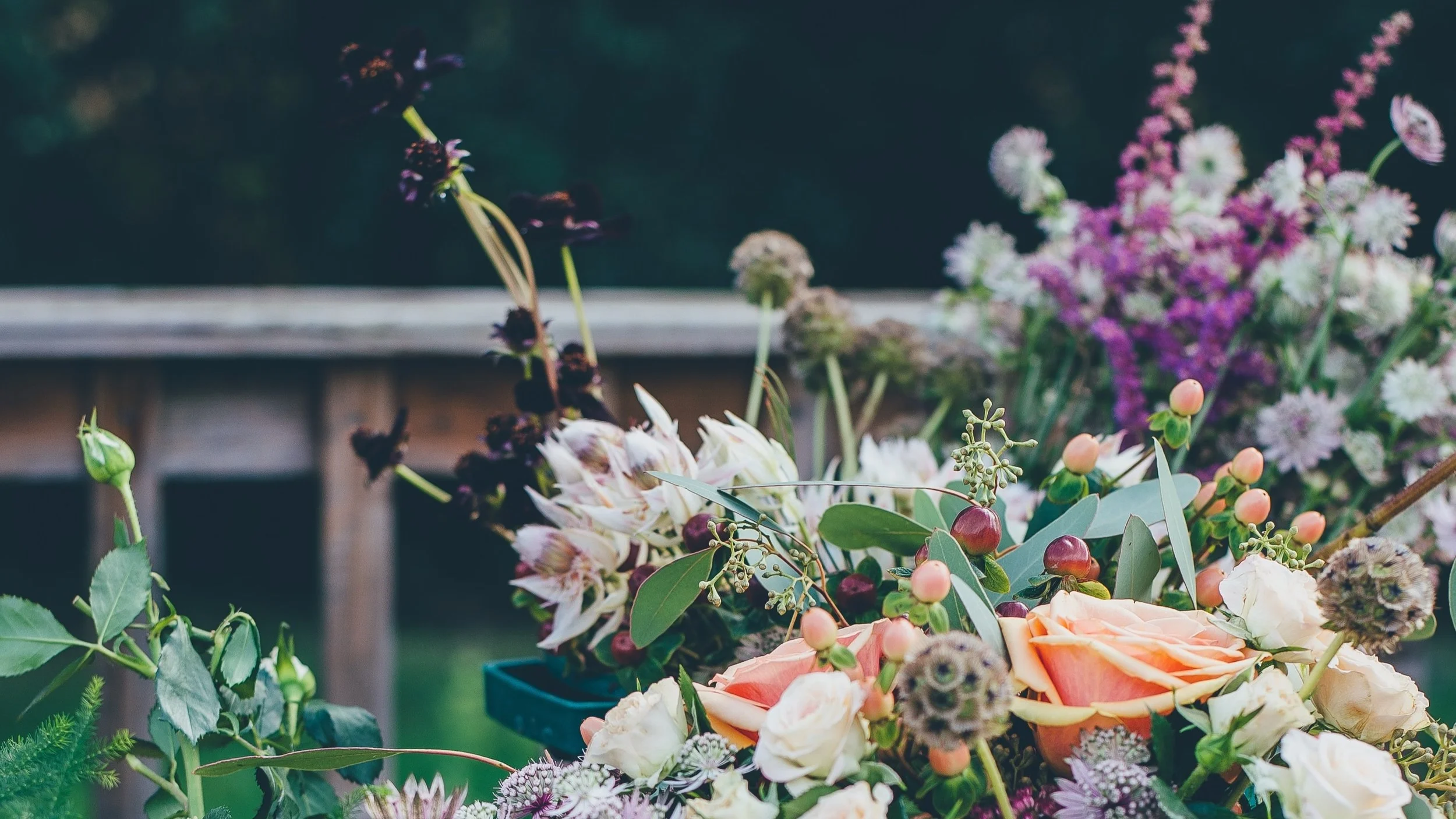 Flowers in the Meantime
