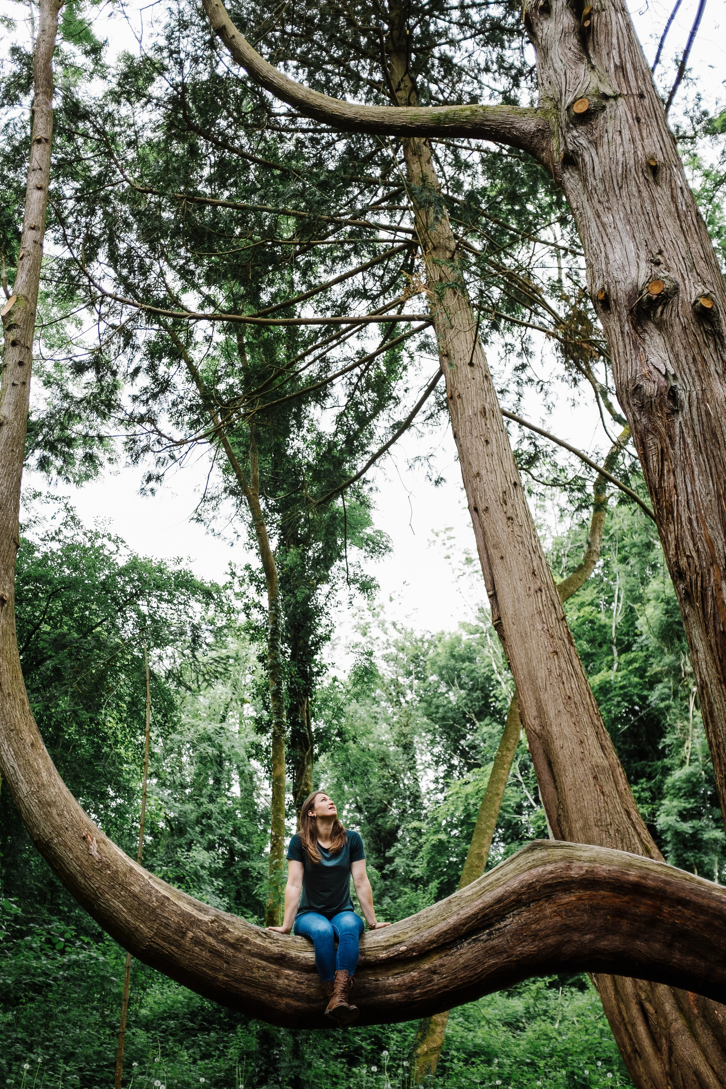 DSCF2812NickWelshPhotography2017.jpg