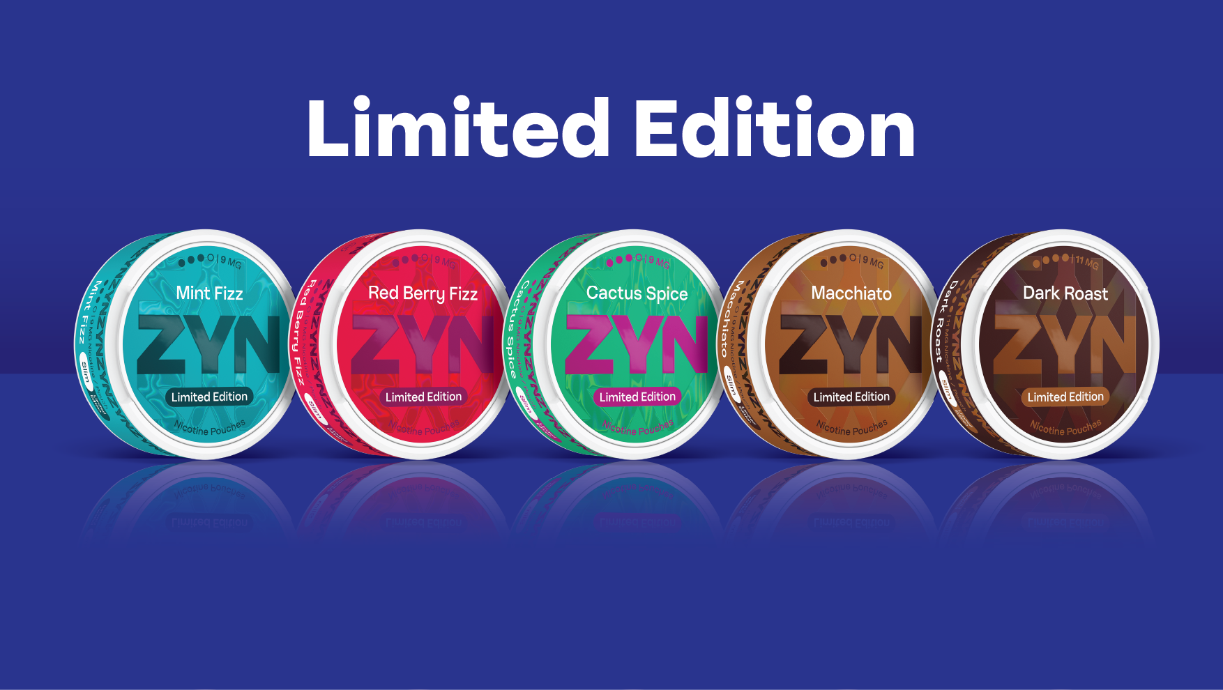 ZYN 3.0 LEP_Sensations_slides.png