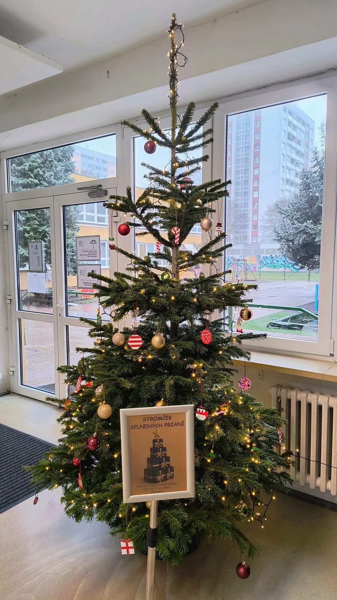 WhatsApp Image 2025-12-19 at 11.17.46.jpeg