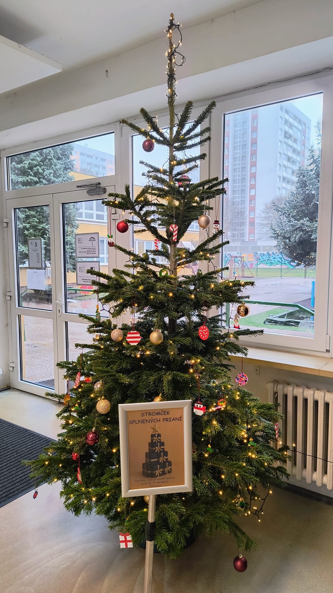 WhatsApp Image 2025-12-19 at 11.17.46.jpeg