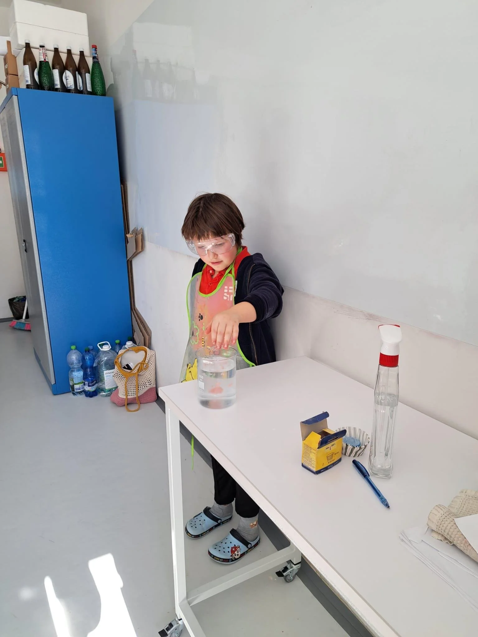 shared image (19).jpeg