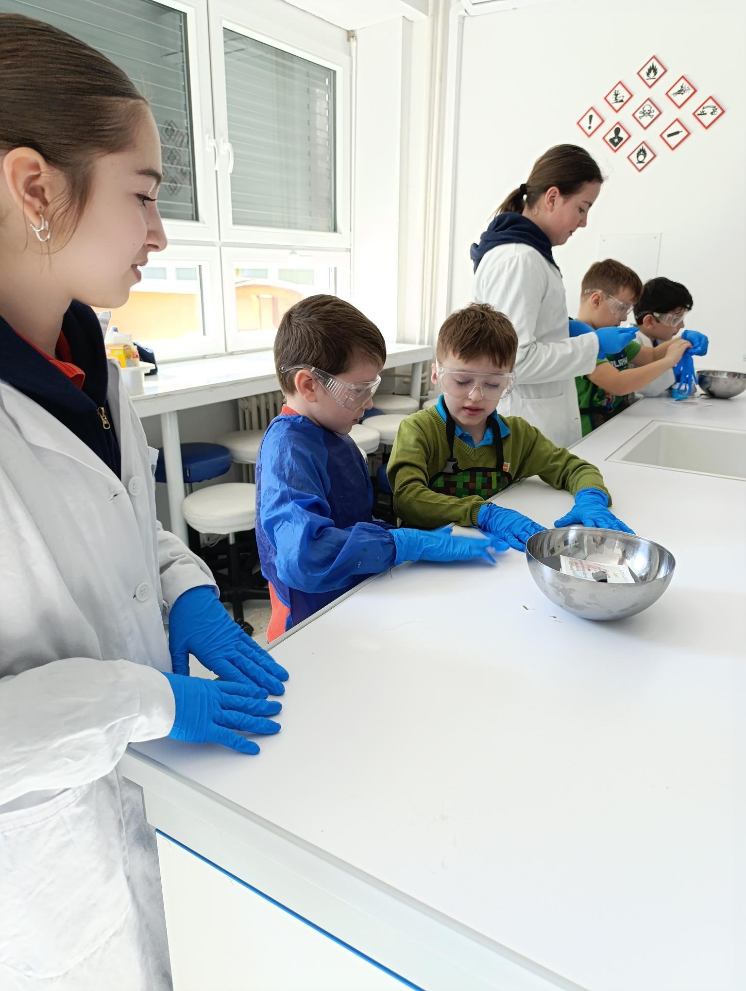 shared image (28).jpeg