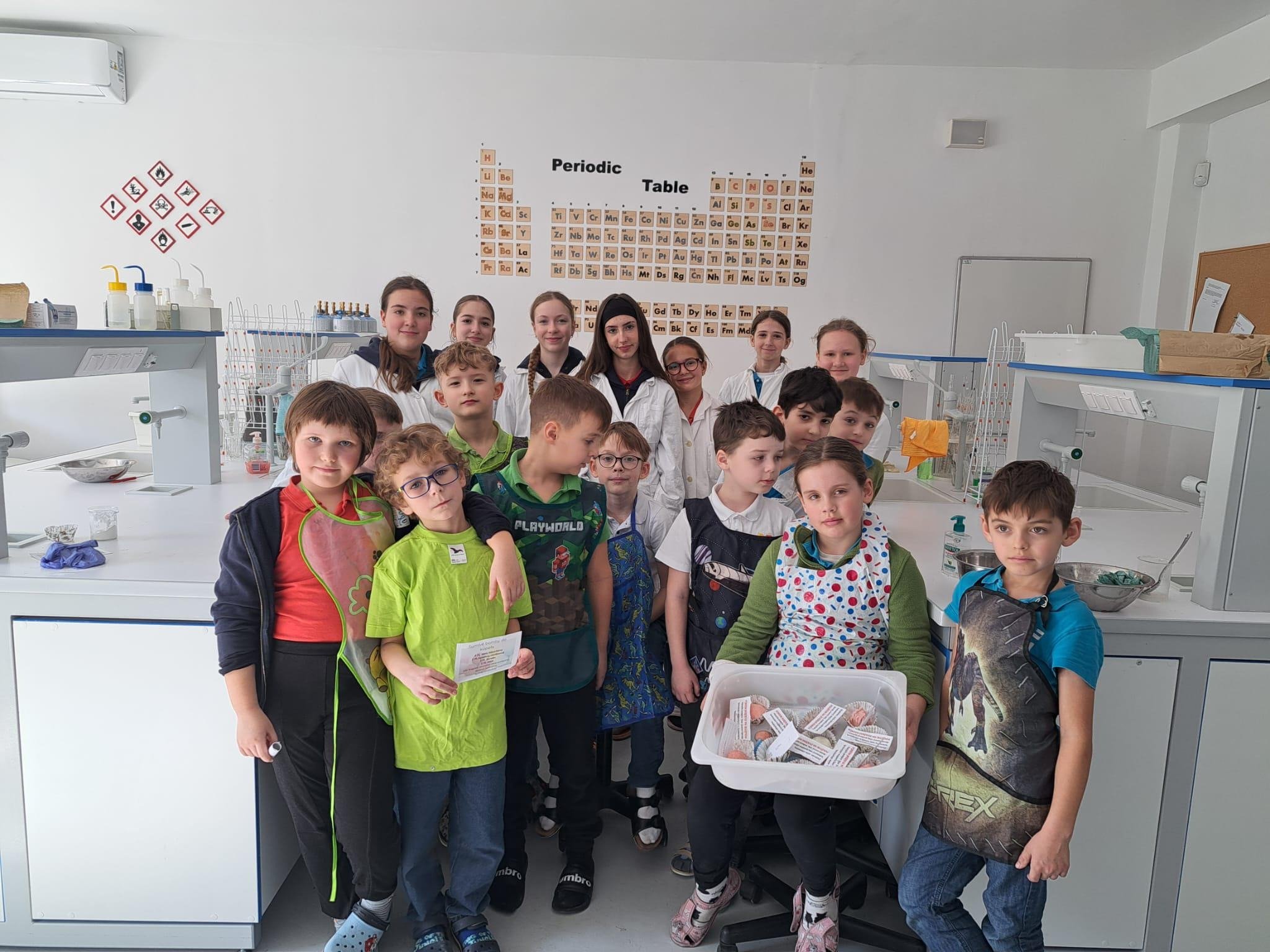 shared image (29).jpeg