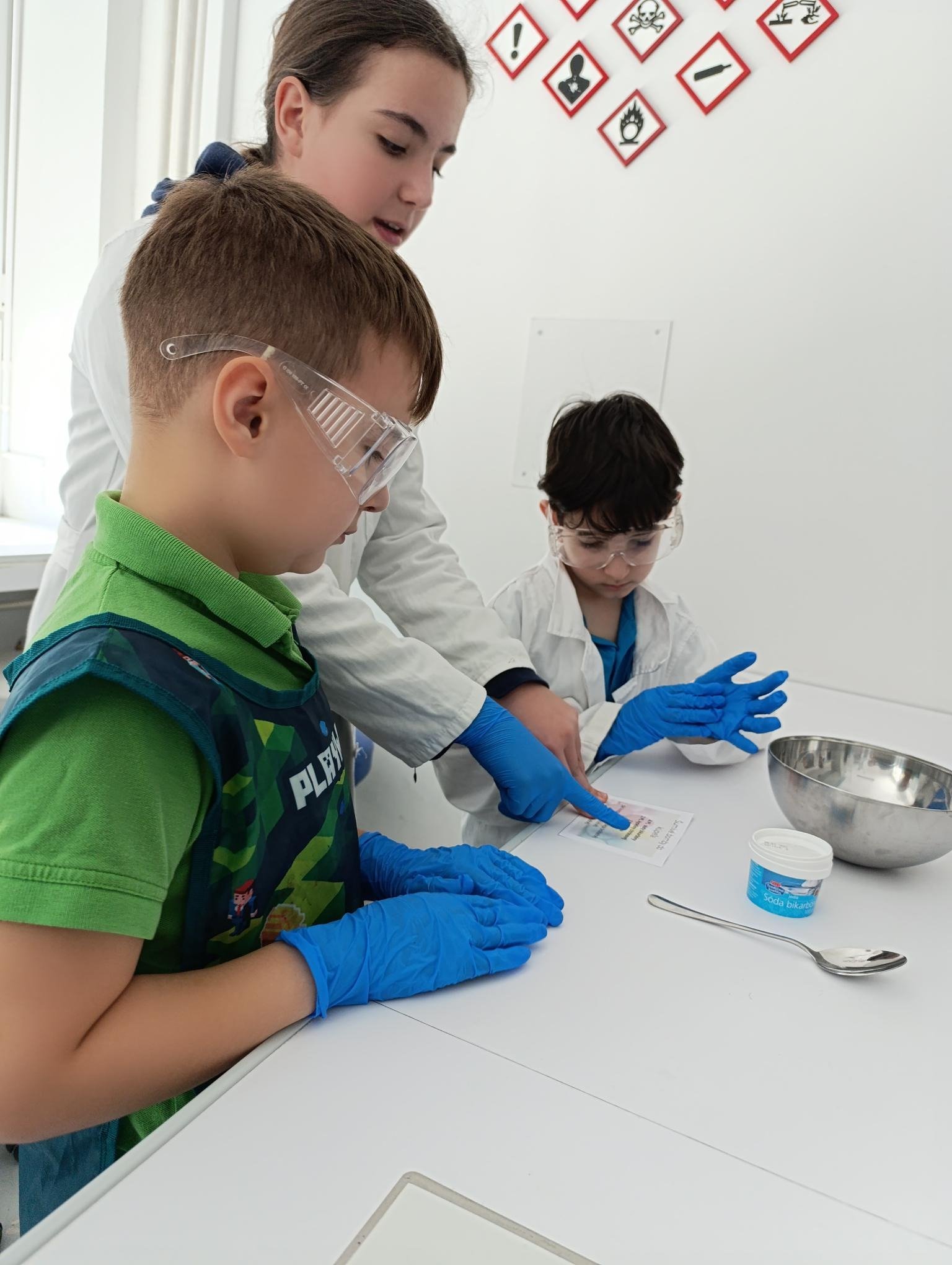 shared image (31).jpeg