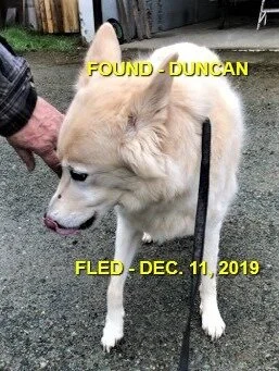 HAPPY TAILS - DUNCAN - DEC. 11/19