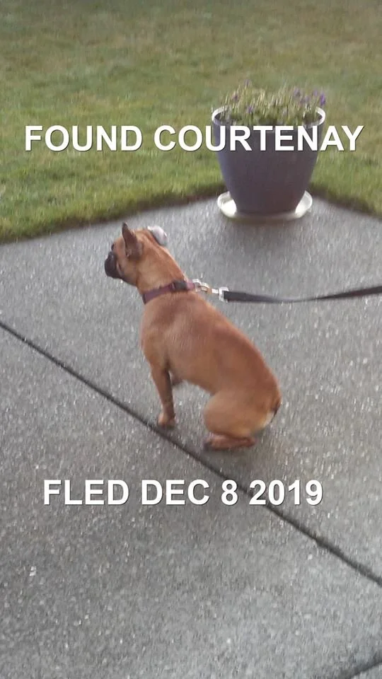 HAPPY TAILS - COURTENAY - DEC. 8/19