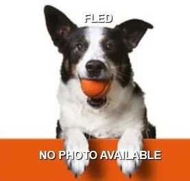 HAPPY TAILS - OAK BAY - DEC. 6/19