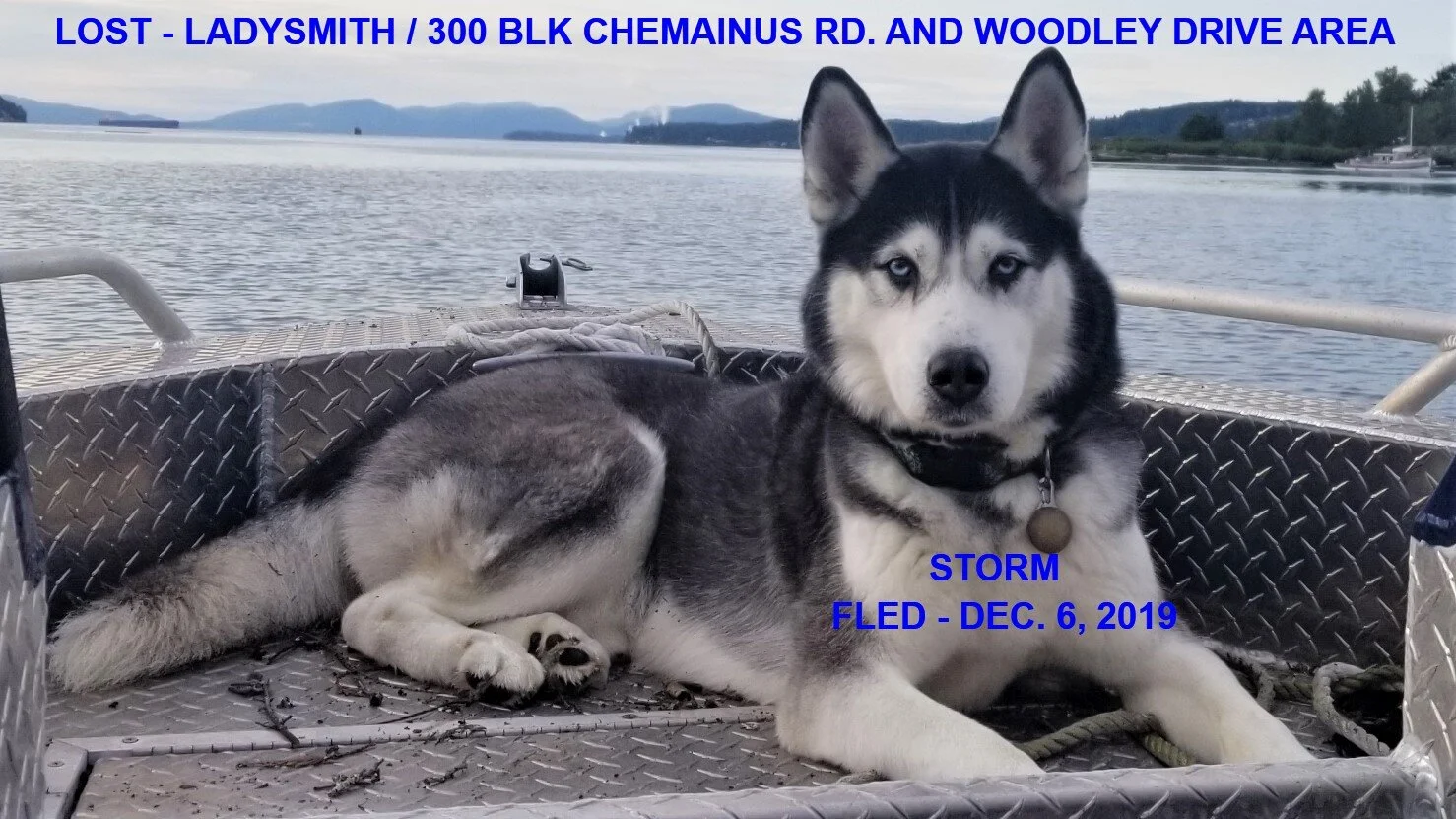 HAPPY TAILS - LADYSMITH - DEC. 6/19