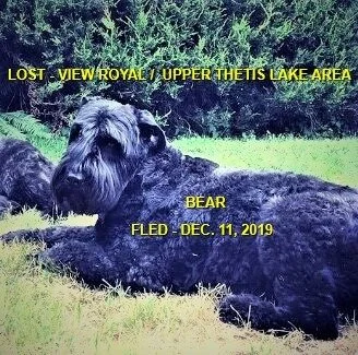 HAPPY TAIL - VIEW ROYAL - DEC. 11/19