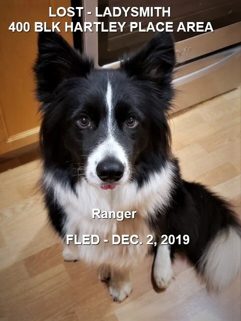 HAPPY TAILS - LADYSMITH BC - DEC. 2/19