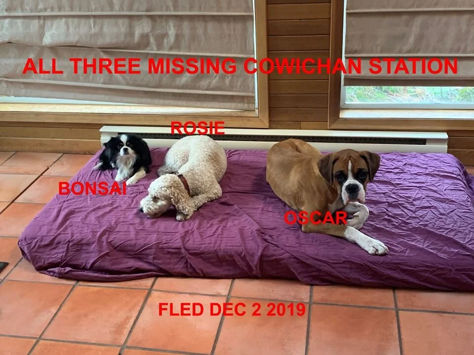 HAPPY TAILS - DUNCAN BC - DEC. 2/19