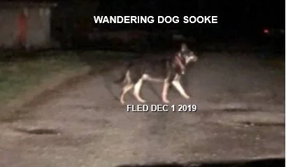 HAPPY TAIL - SOOKE BC - DEC. 1/19