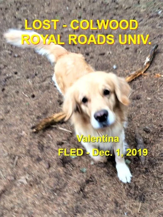 HAPPY TAIL - COLWOOD, BC - DEC. 1/19