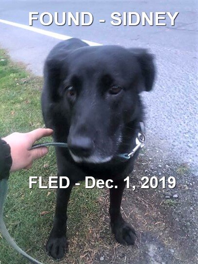HAPPY TAIL - SIDNEY BC - DEC. 1/19