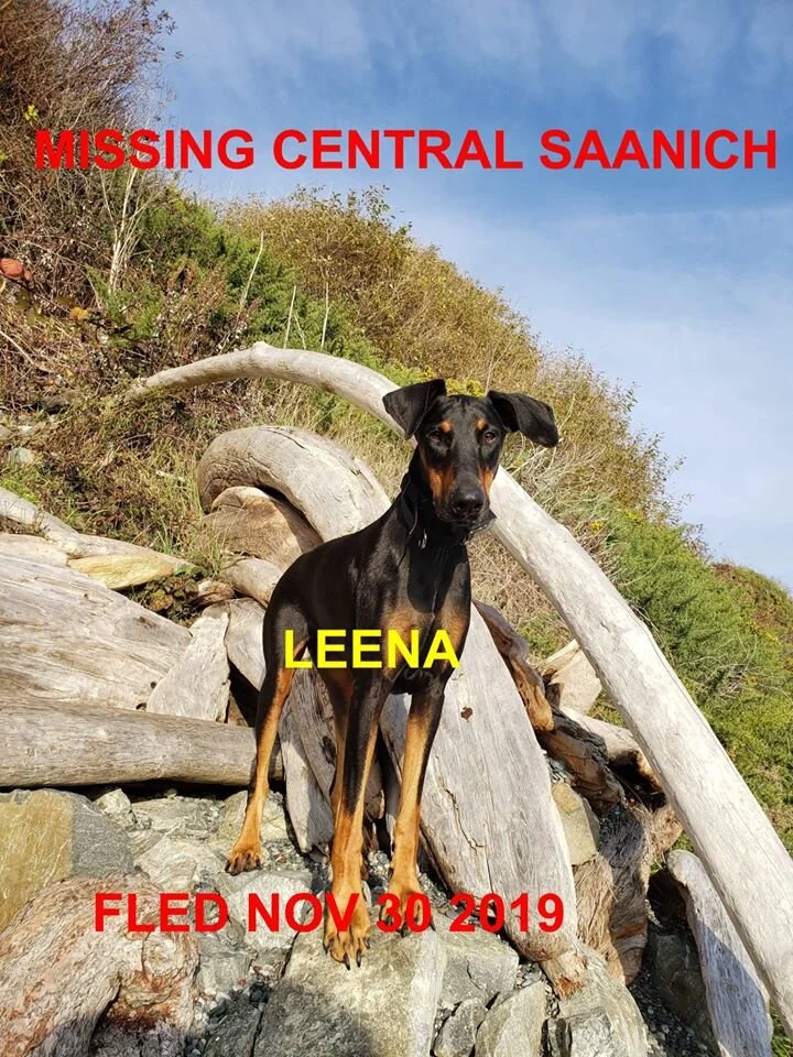 HAPPY TAILS - CENTRAL SAANICH BC - NOV. 30/19