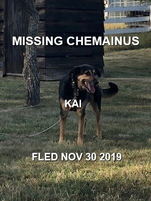 HAPPY TAILS - CHEMAINUS BC - NOV. 30/19