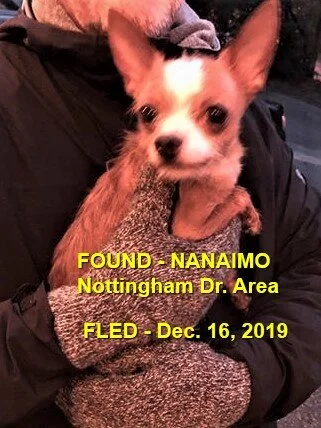 HAPPY TAILS - NANAIMO BC -  DEC. 16/19