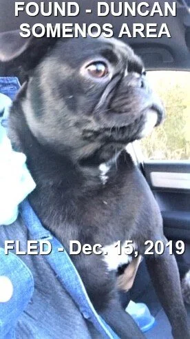 HAPPY TAILS - DUNCAN BC - DEC. 15/19