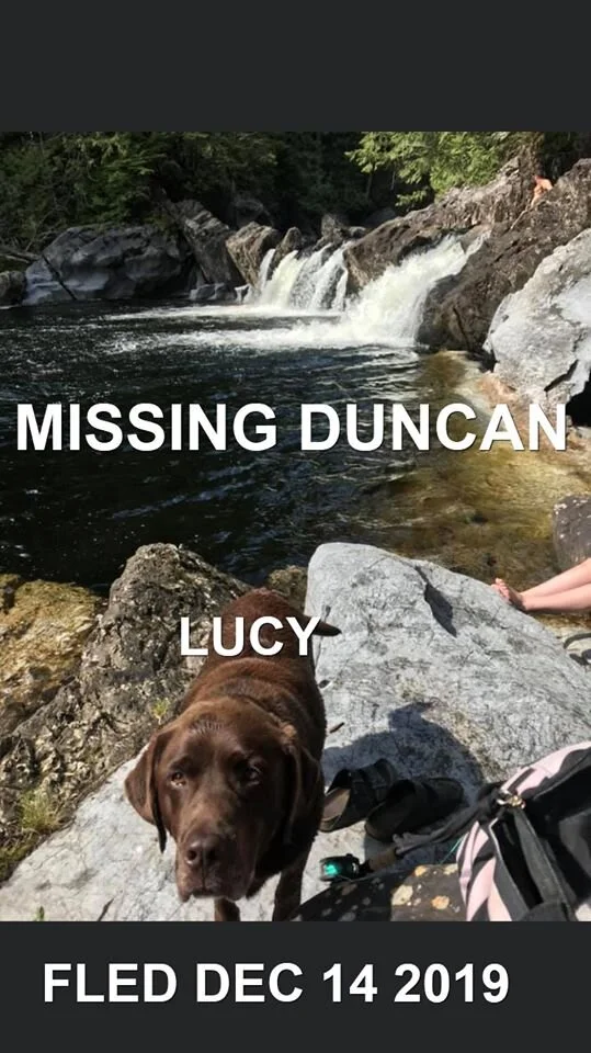 HAPPY TAILS - DUNCAN BC - DEC. 14 / 19