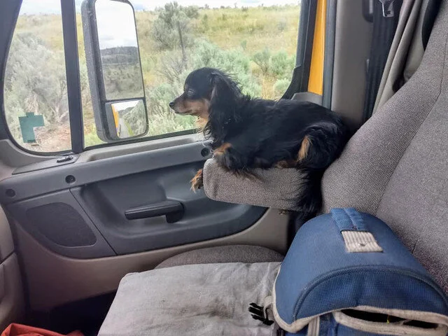 STILL MISSING - KAMLOOPS BC - NOV. 9 / 19