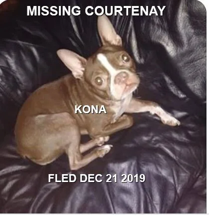 HAPPY TAIL - MERVILLE, BC - DEC 21/19