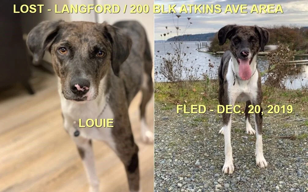 HAPPY TAILS - LANGFORD BC. - DEC. 20/19