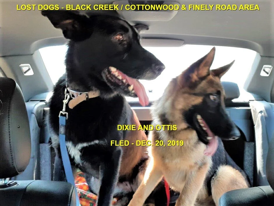 HAPPY TAILS - BLACK CREEK BC. - DEC. 19/19