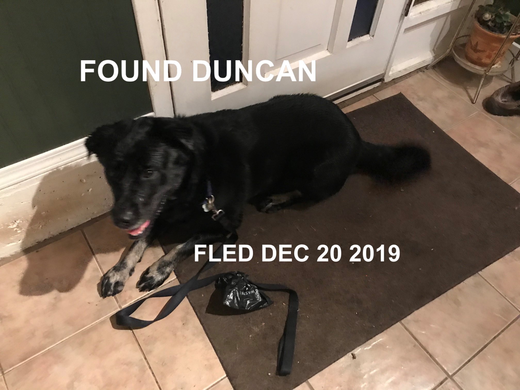 GONE TO SHELTER - DEC. 20/19 - DUNCAN BC